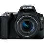 Цифровой фотоаппарат Canon EOS 250D kit 18-55 IS STM Black (3454C007) - 1