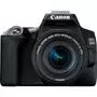 Цифровой фотоаппарат Canon EOS 250D kit 18-55 IS STM Black (3454C007) - 1