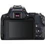 Цифровой фотоаппарат Canon EOS 250D kit 18-55 IS STM Black (3454C007) - 6