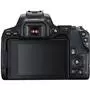 Цифровой фотоаппарат Canon EOS 250D kit 18-55 IS STM Black (3454C007) - 6