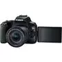 Цифровой фотоаппарат Canon EOS 250D kit 18-55 IS STM Black (3454C007) - 10