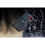 Накопитель SSD USB 3.1 250GB SanDisk (SDSSDE60-250G-G25) - 5