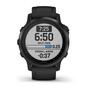 Смарт-часы Garmin Fenix 6S Pro Black with Black Band (010-02159-14/13) - 1
