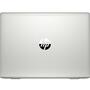 Ноутбук HP Probook 445R G6 (7DD91EA) - 6