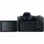 Цифровой фотоаппарат Canon EOS R + RF 24-105 f/4.0-7.1 IS STM (3075C129) - 1