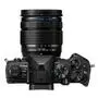 Цифровой фотоаппарат Olympus E-M5 mark III 12-45 PRO Kit black/black (V207092BE000) - 1