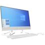 Компьютер HP 22-df0032ur AiO / Pentium Silver J5040 (1D9X0EA) - 1