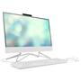 Компьютер HP 22-df0063ur AiO / Pentium Silver J5040 (1G1C0EA) - 1