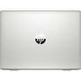 Ноутбук HP Probook 455 G7 (2D239EA) - 4