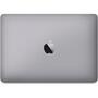 Ноутбук Apple MacBook A1534 (MNYF2UA/A) - 9