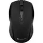 Мышка Canyon CNS-CMSW08B Wireless Black (CNS-CMSW08B) - 1