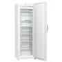 Морозильная камера Gorenje FN6191DHW - 1
