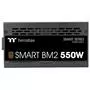 Блок питания ThermalTake 550W Smart BM2 (PS-SPD-0550MNFABE-1) - 3