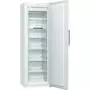 Морозильная камера Gorenje FN 6191 CW (FN6191CW) - 1