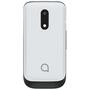 Мобильный телефон Alcatel 2053 Dual SIM Pure White (2053D-2BALUA1) - 1