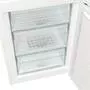 Холодильник Gorenje RK 6191 EW4 (RK6191EW4) - 5