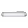 Мобильный телефон Nomi i2411 Silver - 5