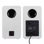 Акустическая система F&D R40BT White - 3