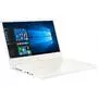 Ноутбук Acer ConceptD 3 CN314-72G (NX.C5TEU.008) - 1