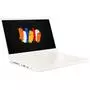 Ноутбук Acer ConceptD 3 CN315-72G (NX.C5XEU.004) - 1