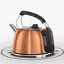 Электрочайник Russell Hobbs 25861-70 - 1