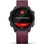 Смарт-часы Garmin Forerunner 245, Black/Berry (010-02120-11) - 8