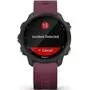 Смарт-часы Garmin Forerunner 245, Black/Berry (010-02120-11) - 8