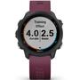 Смарт-часы Garmin Forerunner 245, Black/Berry (010-02120-11) - 9
