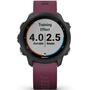 Смарт-часы Garmin Forerunner 245, Black/Berry (010-02120-11) - 9