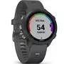 Смарт-часы Garmin Forerunner 245, Black/Slate (010-02120-10) - 2