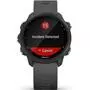 Смарт-часы Garmin Forerunner 245, Black/Slate (010-02120-10) - 9