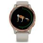 Смарт-часы Garmin Venu, Light Sand/Rose Gold (010-02173-23) - 1