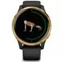 Смарт-часы Garmin Venu, Black/Gold, GPS navy (010-02173-33) - 1