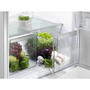 Холодильник Electrolux RNT6TF18S1 - 3