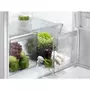 Холодильник Electrolux RNT6TF18S1 - 3