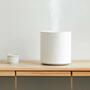Увлажнитель воздуха Xiaomi SmartMi Humidifier White (JSQ01ZM) - 3