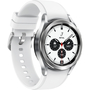 Смарт-часы Samsung SM-R880/16 (Galaxy Watch 4 Classic small 42mm) Silver (SM-R880NZSASEK) - 2