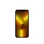 Мобильный телефон Apple iPhone 13 Pro 1TB Gold (MLVY3) - 1