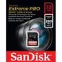 Карта памяти SanDisk 32GB SDHC ExtremePro Class 10 UHS-II (SDSDXPB-032G-G46) - 1