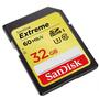 Карта памяти SanDisk 32Gb SDHC Class10 Extreme (SDSDXN-032G-G46) - 1