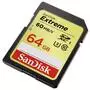 Карта памяти SanDisk 64Gb SDXC Class10 UHS-I U3 Extreme (SDSDXN-064G-G46) - 1