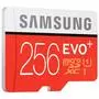 Карта памяти Samsung 256GB microSDXC class 10 UHS-I EVO PLUS (MB-MC256DA/RU) - 1