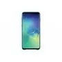 Чехол для моб. телефона Samsung Galaxy S10 (G973) Leather Cover Green (EF-VG973LGEGRU) - 1