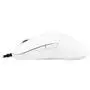 Мышка Dream Machines DM1 FPS Blizzard White (DM1FPS_WHITE) - 1