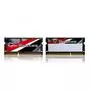 Модуль памяти для ноутбука SoDIMM DDR3 8GB (2x4GB) 1600 MHz G.Skill (F3-1600C11D-8GRSL) - 1