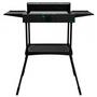 Электрогриль Cecotec PerfectSteak 4250 Stand (CCTC-03049) - 1