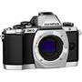 Цифровой фотоаппарат Olympus E-M10 Body silver (V207020SE000) - 2