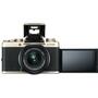 Цифровой фотоаппарат Fujifilm X-T100 + XC 15-45mm F3.5-5.6 Kit Gold (16583107) - 8
