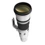 Объектив Canon EF 800mm f/5.6L IS USM (2746B005) - 5