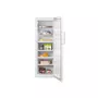 Морозильная камера Beko RFSK 266 T21W (RFSK266T21W) - 2